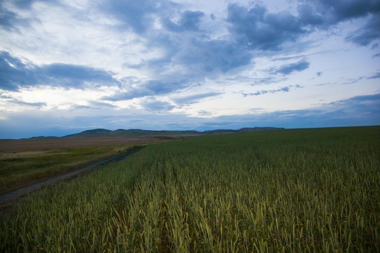 Exploring Big Sky Country: La Brea Bakery in Montana