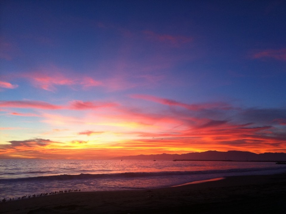 L.A. in 88 Cities: Playa del Rey | La Brea Bakery
