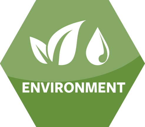 environment icon