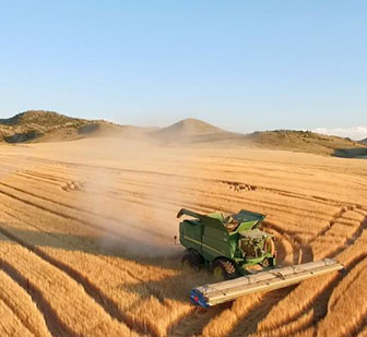 harvester in wheat field