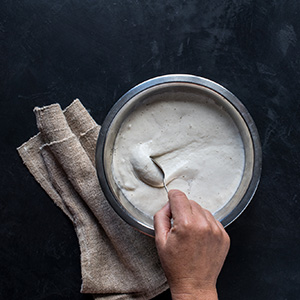 Sourdough starter