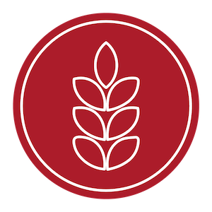 Gluten icon