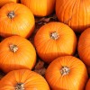 Fall lovers rejoice: Pumpkin season is here!