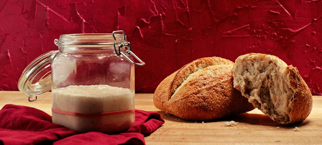 Sourdough Starter
