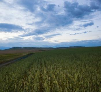 Exploring Big Sky Country: La Brea Bakery in Montana