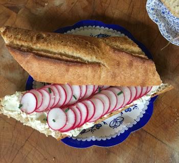 La Brea Bakery Wheat Baguette Spring Radish Tartine